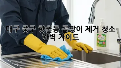 대구 중구 향촌동 곰팡이 제거 청소 완벽 가이드